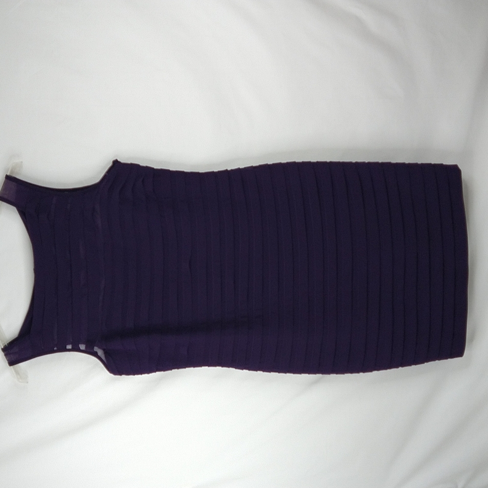 Women's Eggplant Layers Dress Size: 16